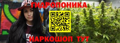 стафф Усть-Джегута